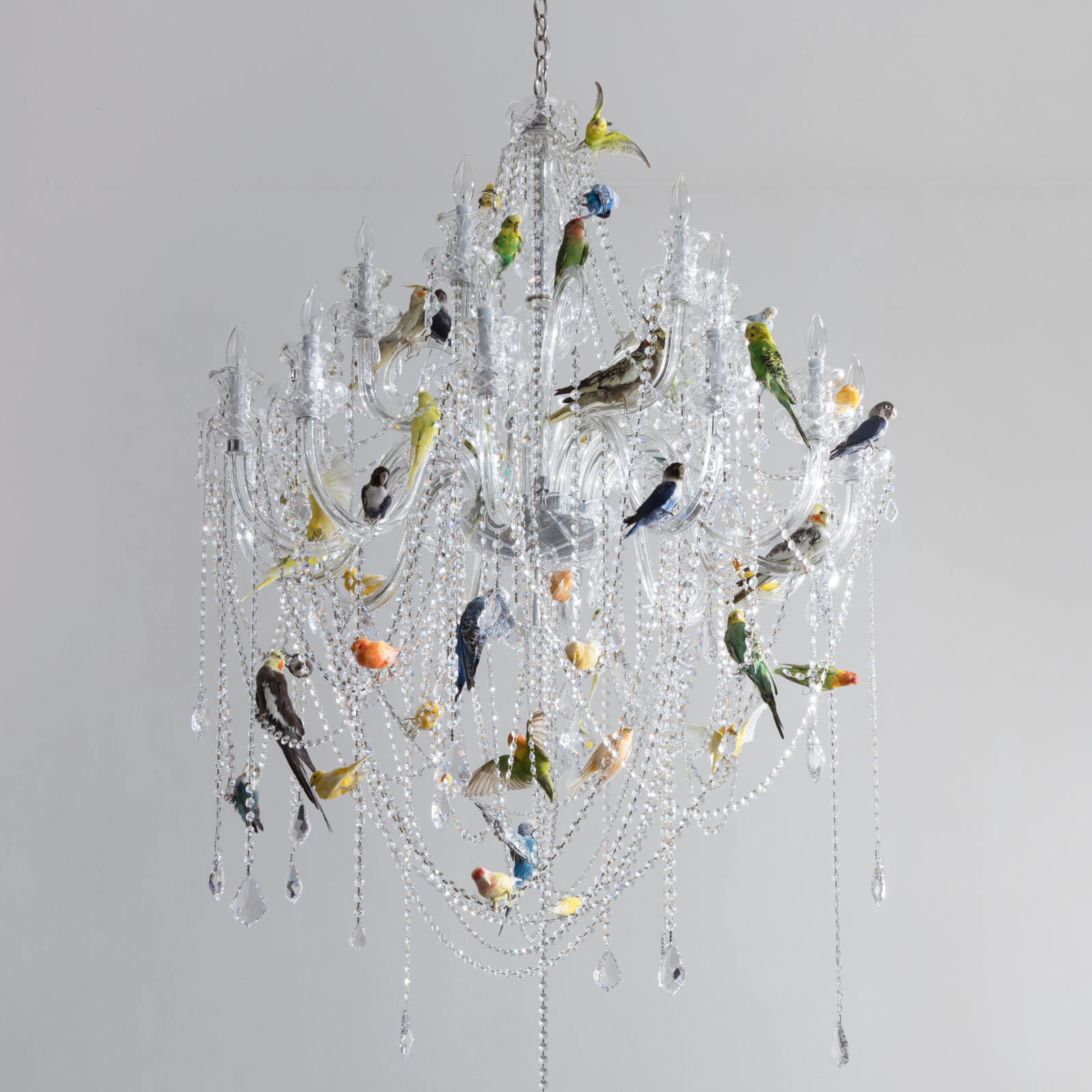 Unique "Bird Chandelier." Small crystal chandelier with taxidermy birds